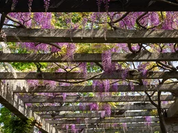 Drevená pergola pre vaše záhrady