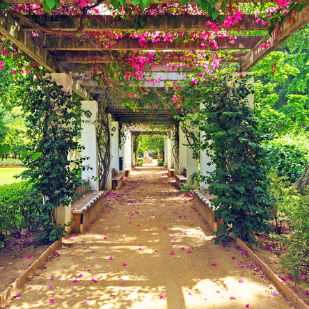 záhradná pergola obrastená kríkmi a kvetmi